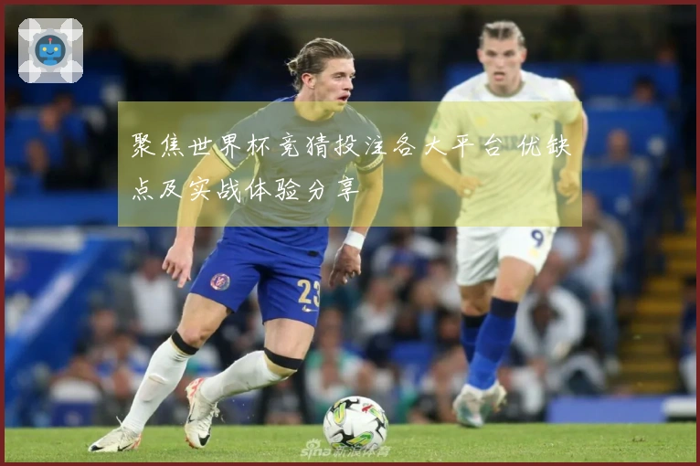 聚焦世界杯竞猜投注各大平台 优缺点及实战体验分享