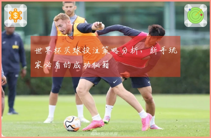 世界杯买球投注策略分析，新手玩家必看的成功秘籍