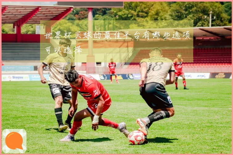 世界杯买球的最佳平台有哪些选项可以选择