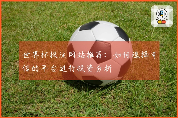 世界杯投注网站推荐：如何选择可信的平台进行投资分析