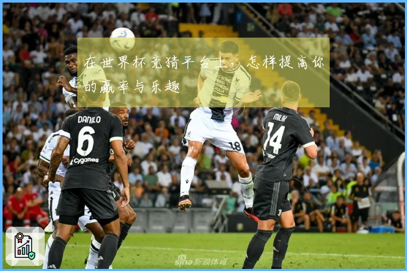在世界杯竞猜平台上，怎样提高你的赢率与乐趣