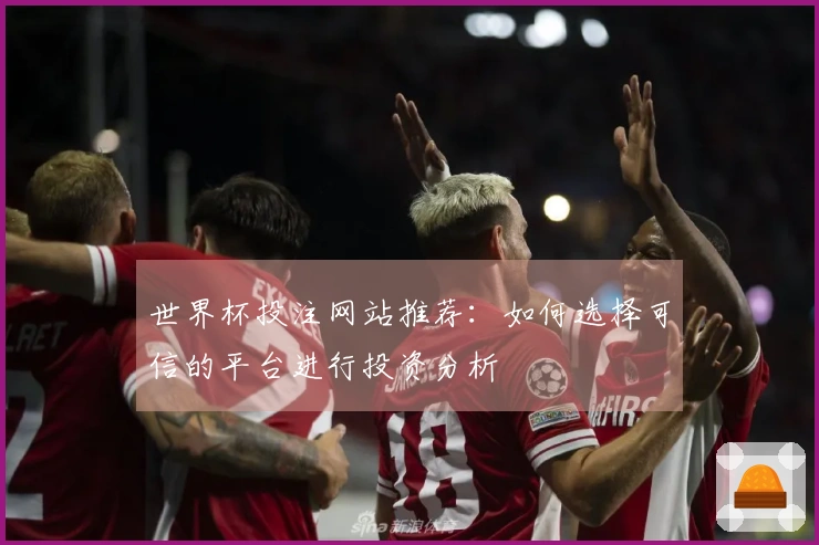 世界杯投注网站推荐：如何选择可信的平台进行投资分析