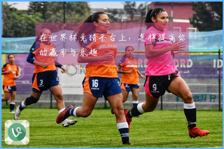 在世界杯竞猜平台上，怎样提高你的赢率与乐趣
