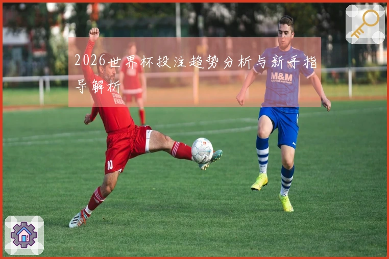 2026世界杯投注趋势分析与新手指导解析