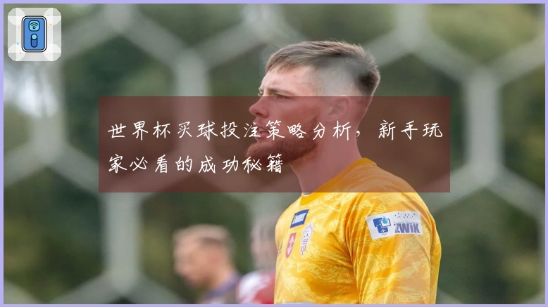 世界杯买球投注策略分析，新手玩家必看的成功秘籍
