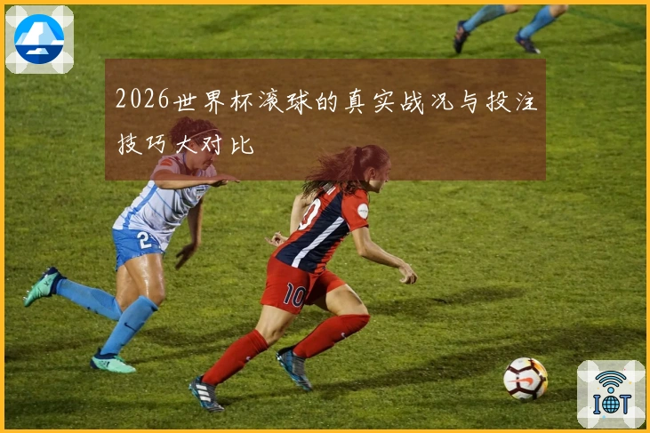 2026世界杯滚球的真实战况与投注技巧大对比
